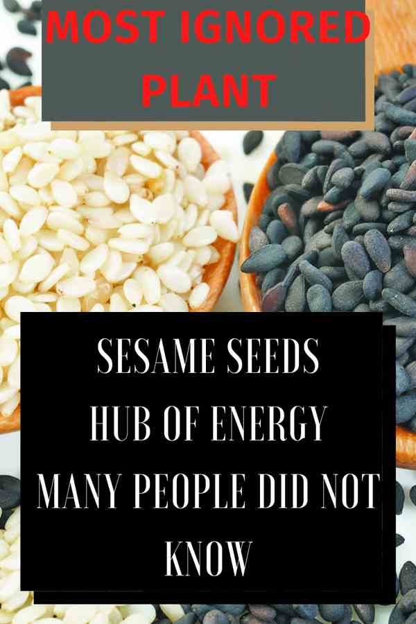 people did know about sesame seeds benefits. it is really unfortunate.