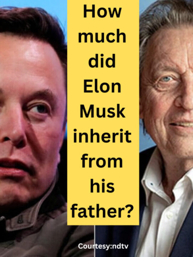 Elon Musk inherit from his father